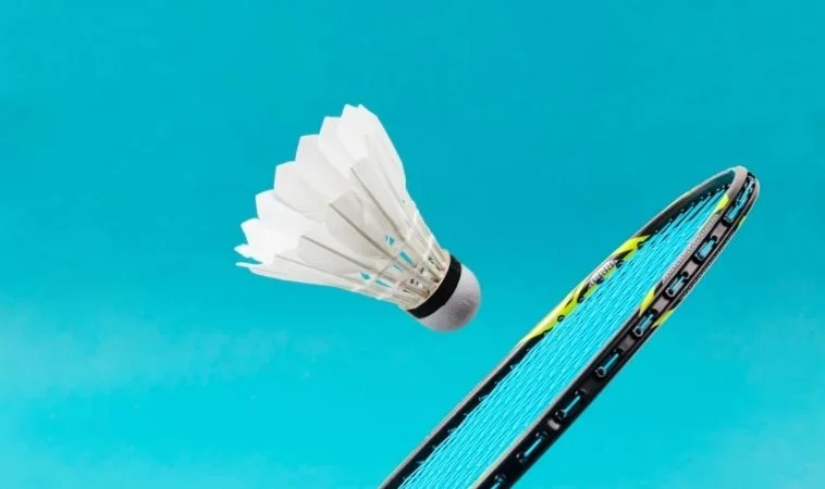 Cách Chơi Cá Cược Cầu Lông Tại Bet88 Với Tỷ Lệ Cược Cao 1 cầu lông tại Bet88