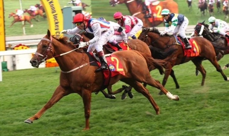 Tìm Hiểu Cá Cược Đua Ngựa Bet88 Thắng Lớn Cho Game Thủ 1 Đua ngựa Bet88